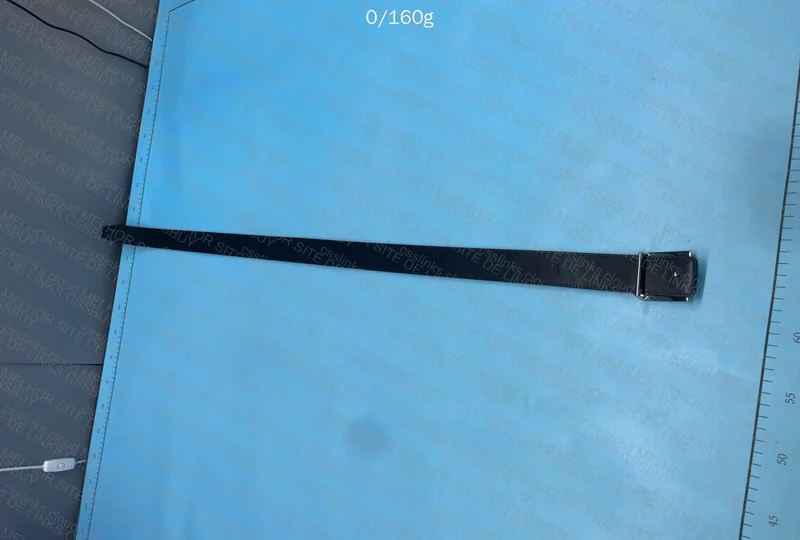 Burberry Belt 3