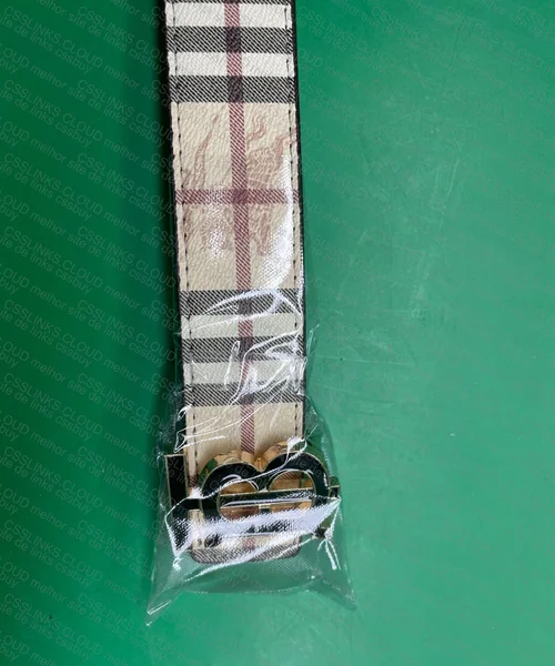 Burberry Belt 2