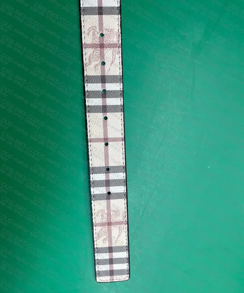Burberry Belt 3