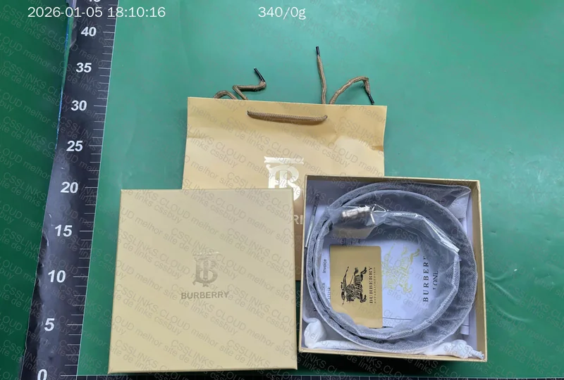 Burberry Belt 2
