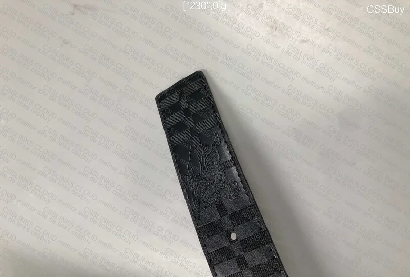 Burberry Belt 25y 2