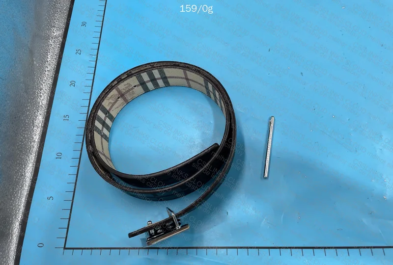 Burberry Belt + Box
