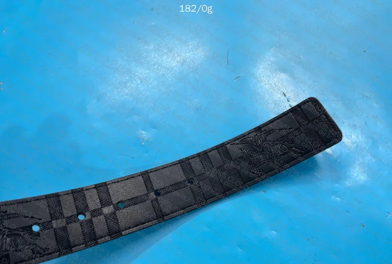 Burberry Belt + Box 4
