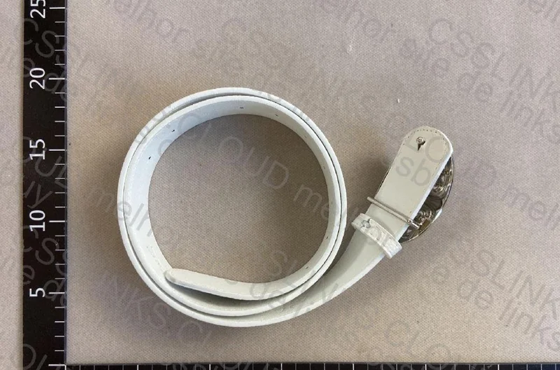 Chrome Hearts Belt 2