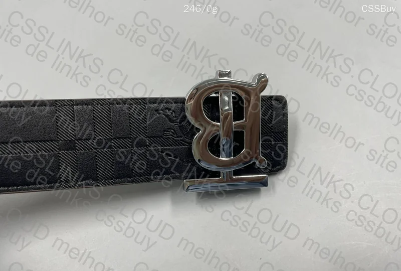 Burberry Belt 2