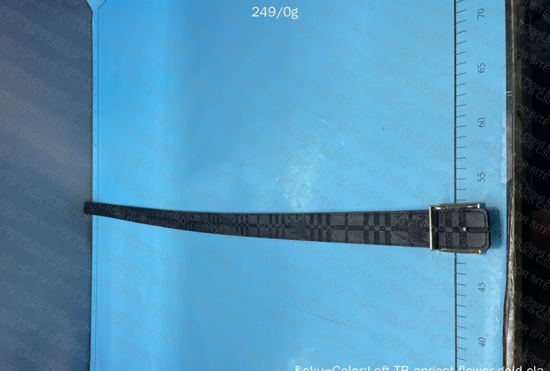 Burberry Printed Belt 2