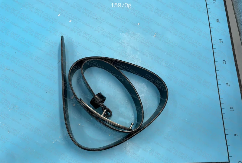 Diesel Belt