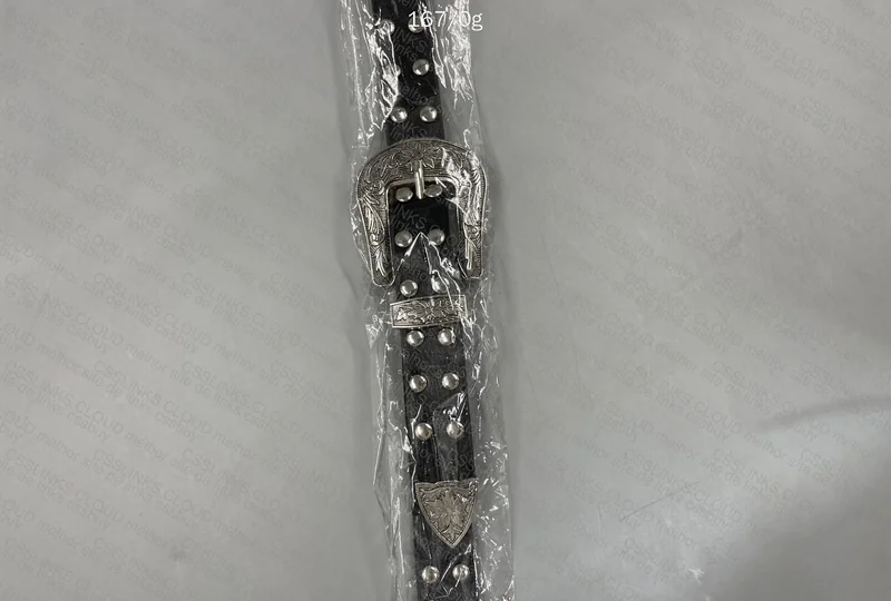 Two Buckle Belt 4