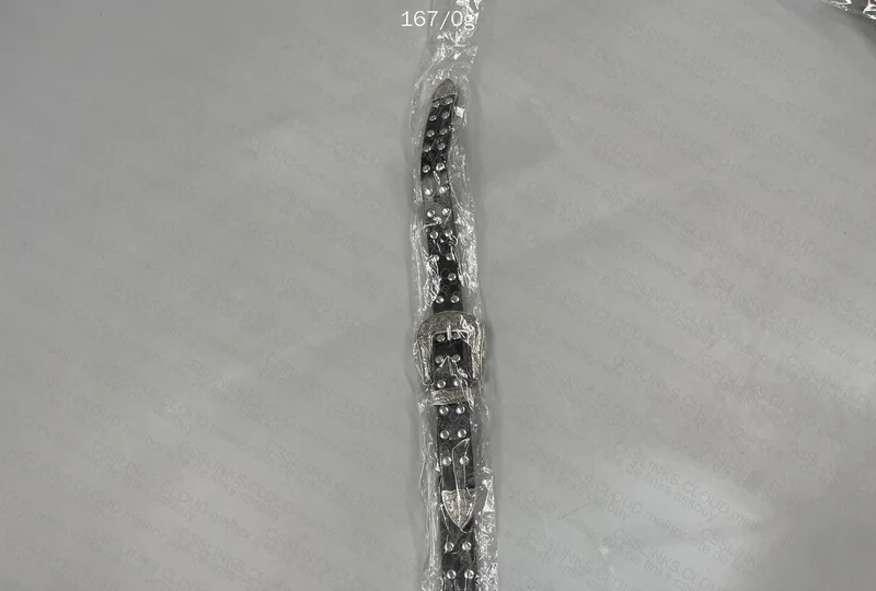 Two Buckle Belt 5