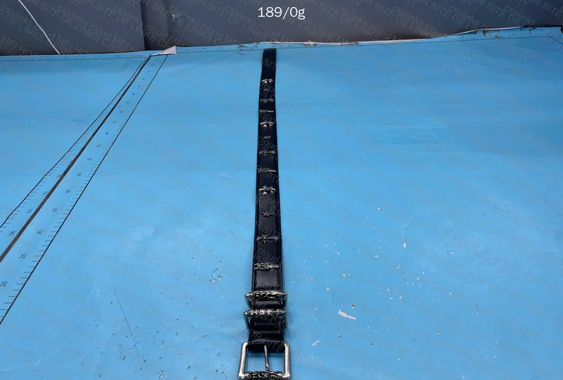 Belt and Bracelet 3