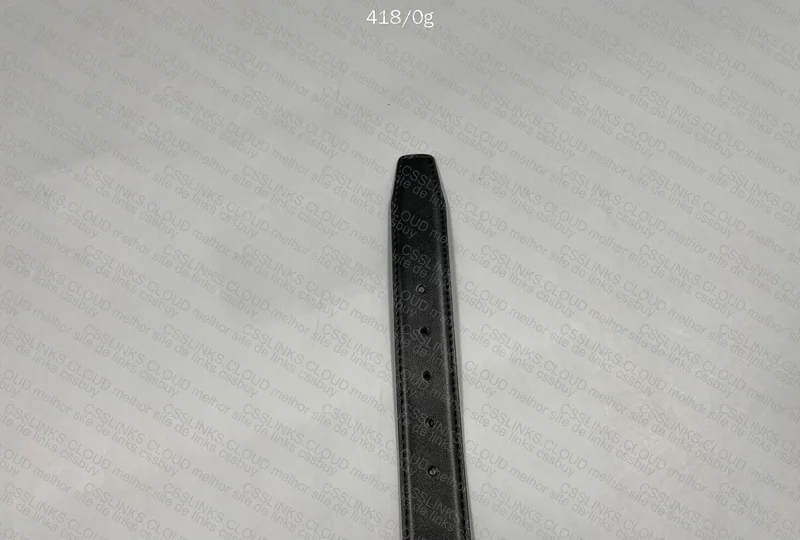 Ferragamo Belt 2