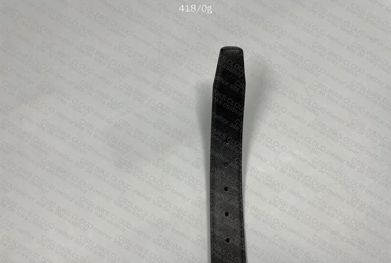 Ferragamo Belt 6
