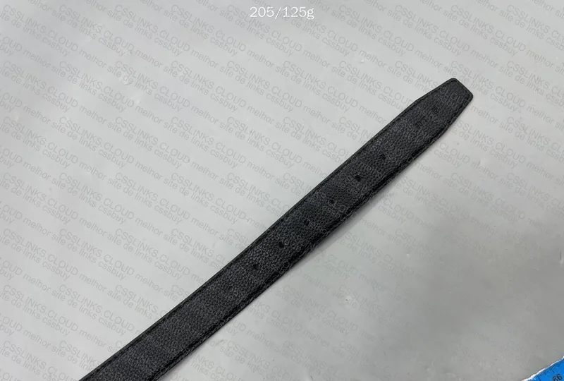 Ferragamo Belt 3