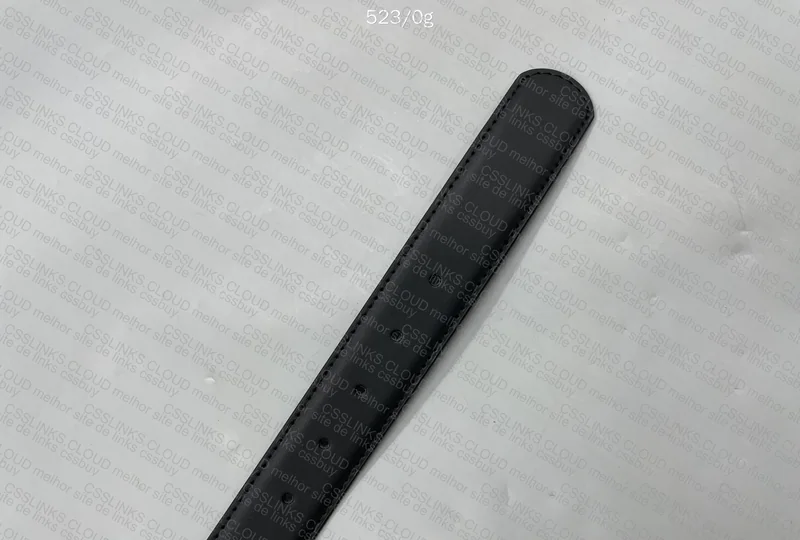 Ferragamo Belt 5