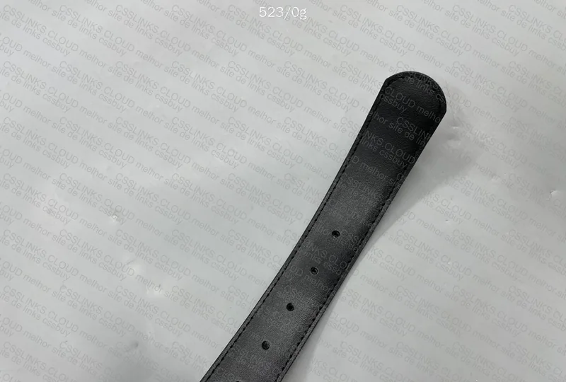 Ferragamo Belt 6