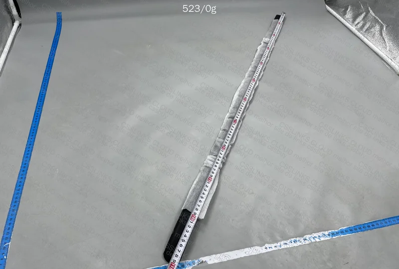 Ferragamo Belt 8