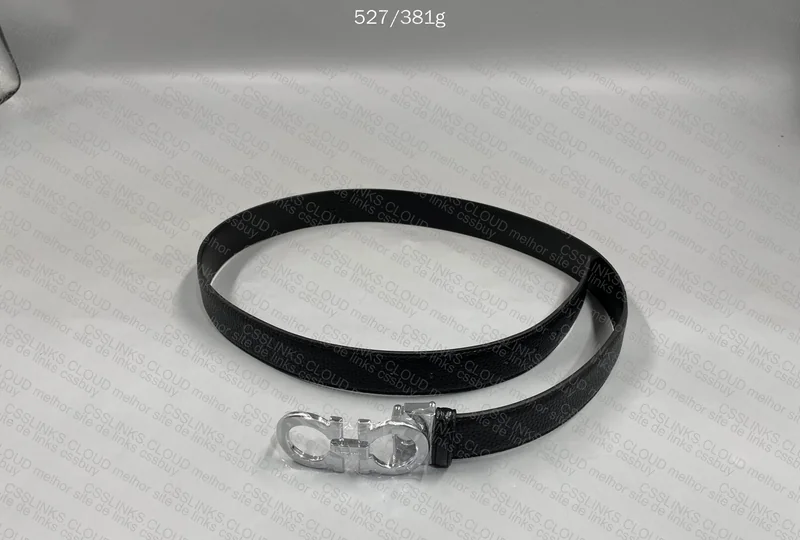 Ferragamo Belt 2