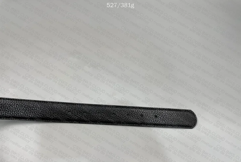 Ferragamo Belt 5