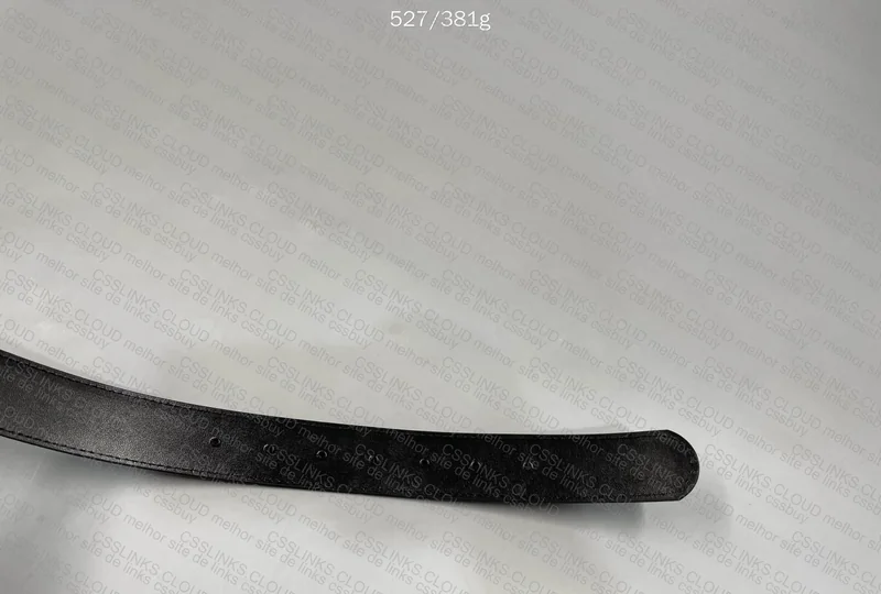 Ferragamo Belt 6