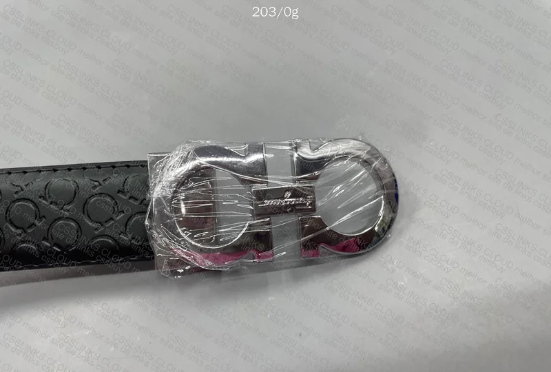 Ferragamo Belt 2