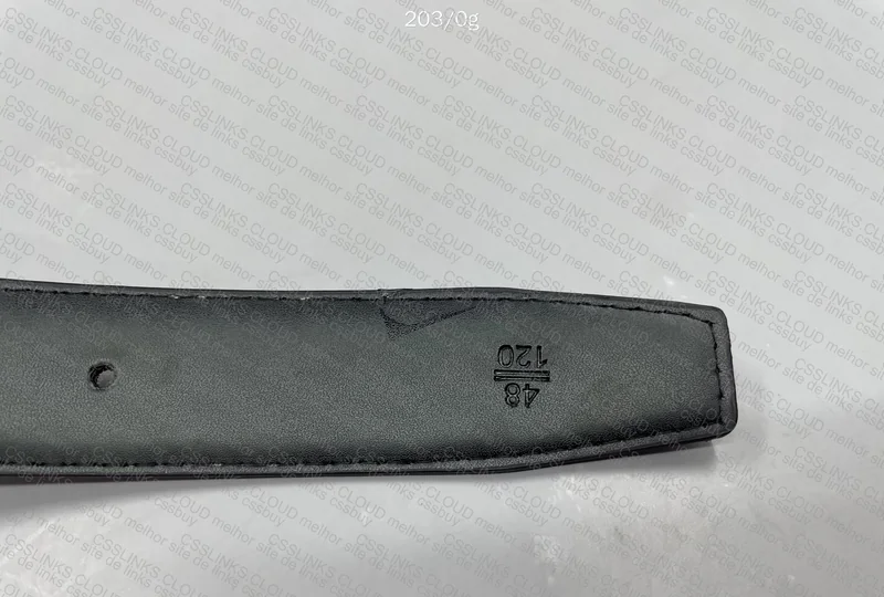 Ferragamo Belt 5