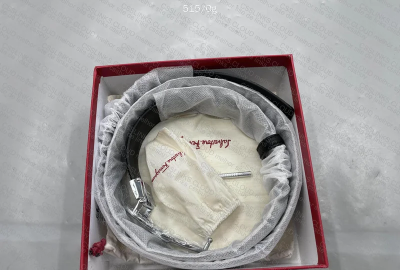 Ferragamo Belt 2