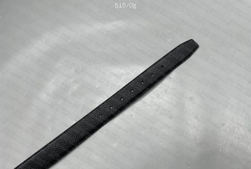 Ferragamo Belt 5