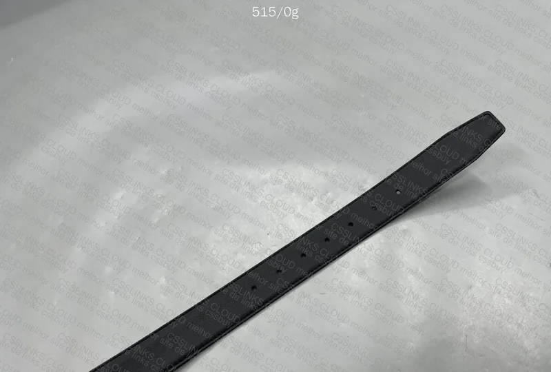 Ferragamo Belt 6