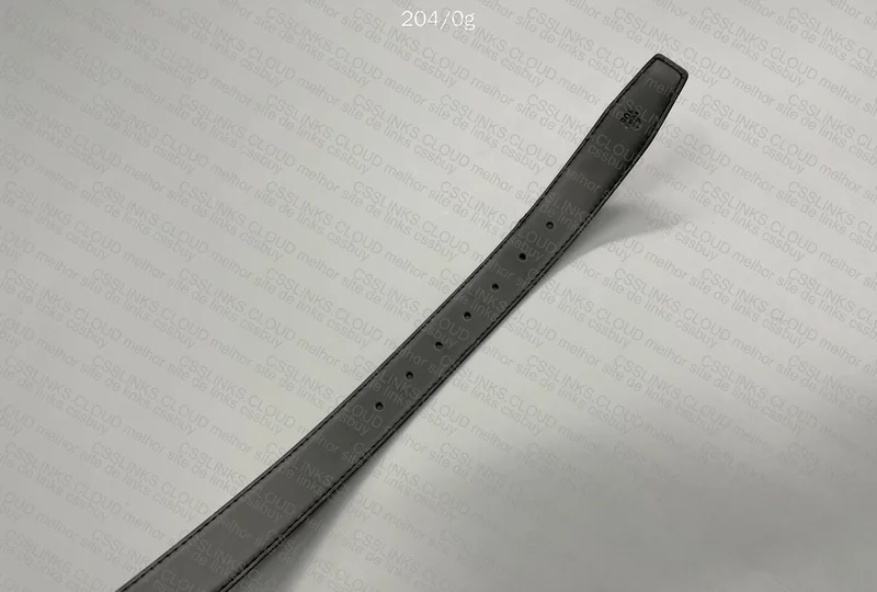 Ferragamo Belt 3
