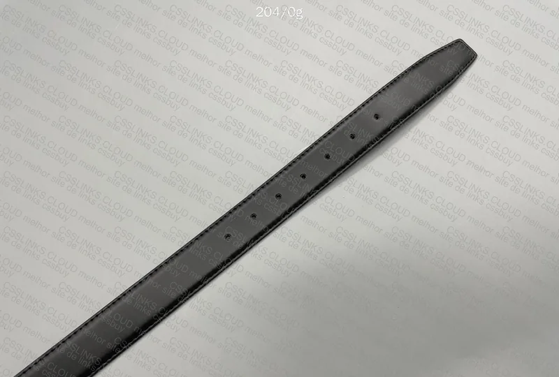 Ferragamo Belt 4