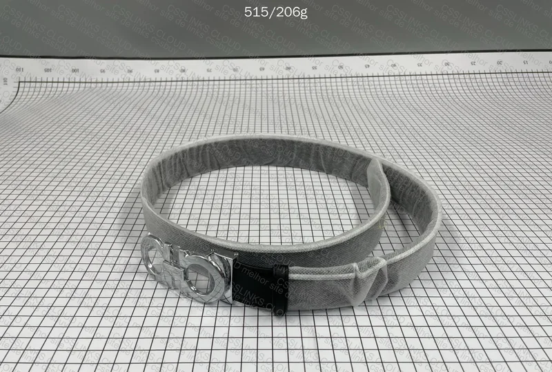 Ferragamo Belt 2