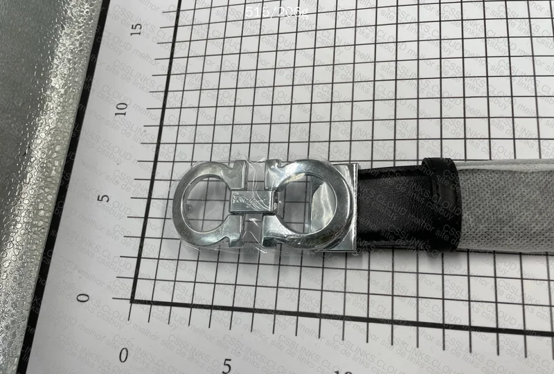 Ferragamo Belt 3