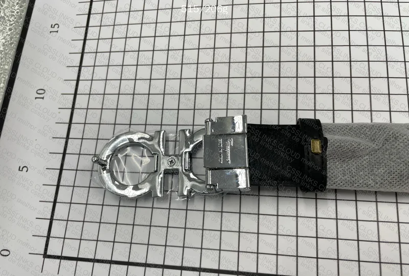 Ferragamo Belt 5