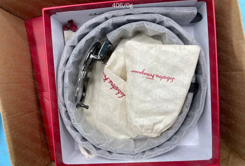 Ferragamo Belt 3