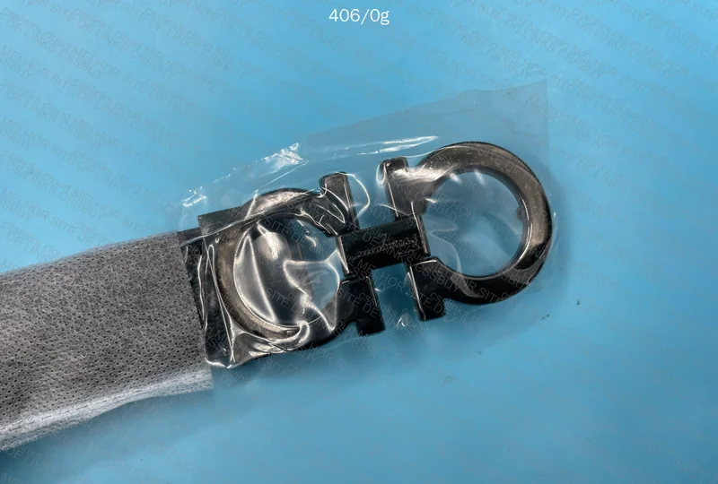 Ferragamo Belt 5