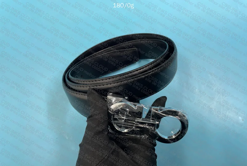 Ferragamo Belt 2