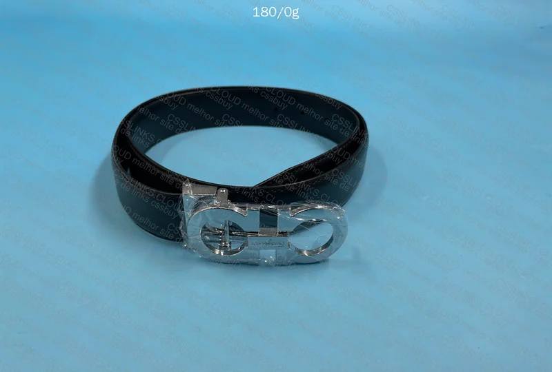 Ferragamo Belt 5