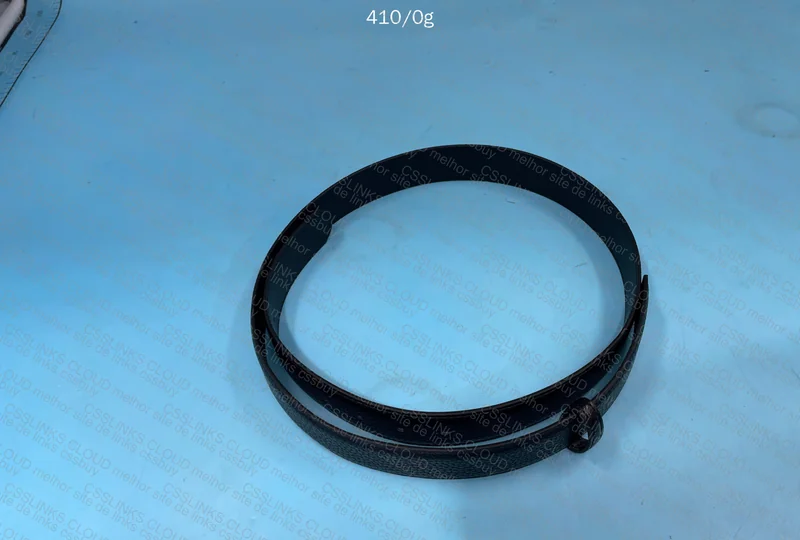 Ferragamo Belt 2