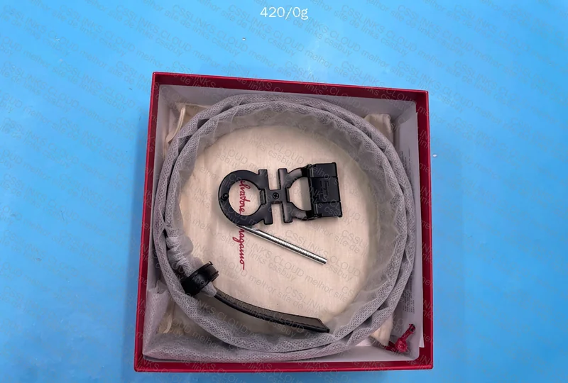 Ferragamo Belt 2