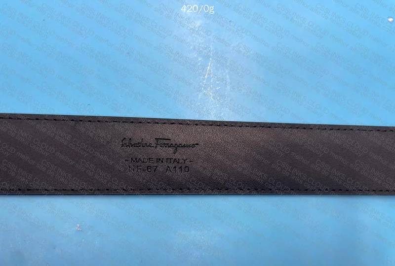 Ferragamo Belt 3