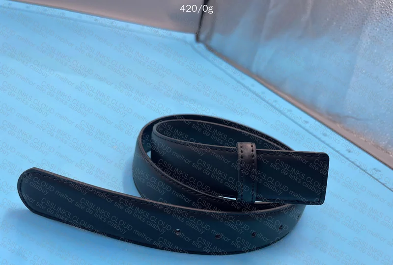 Ferragamo Belt 5
