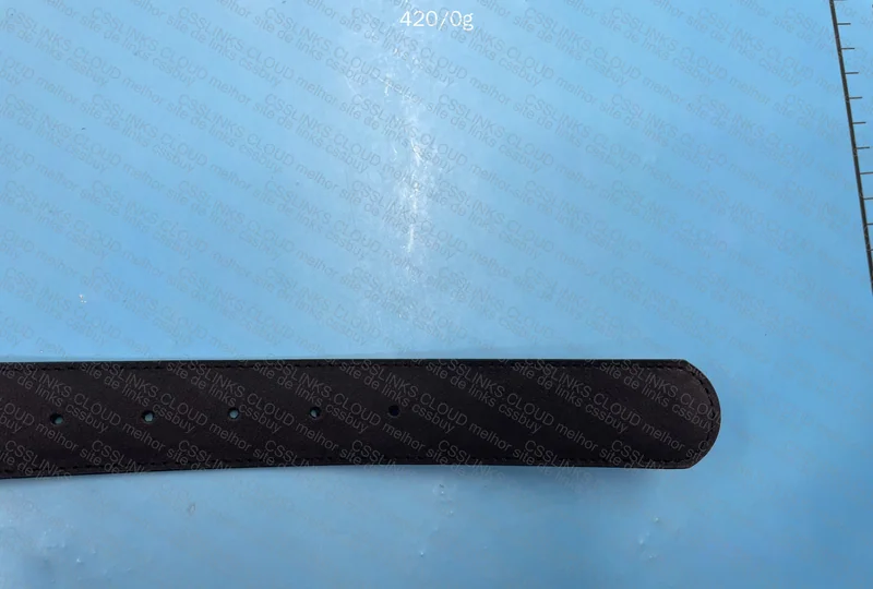 Ferragamo Belt 7
