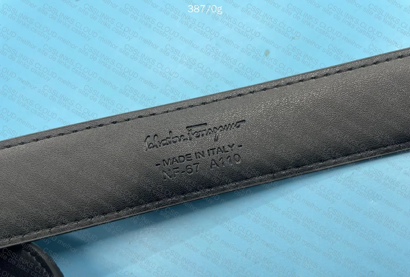 Ferragamo Belt 2