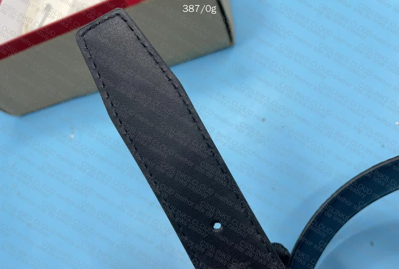 Ferragamo Belt 3
