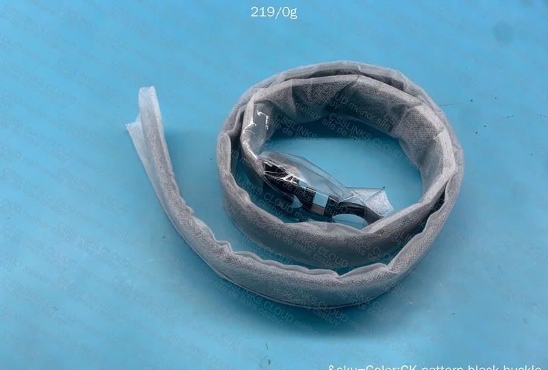 Ferragamo Belt 2