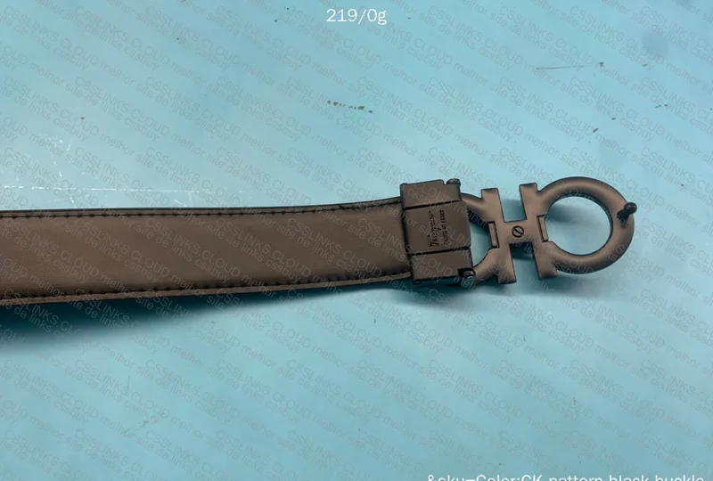 Ferragamo Belt 3