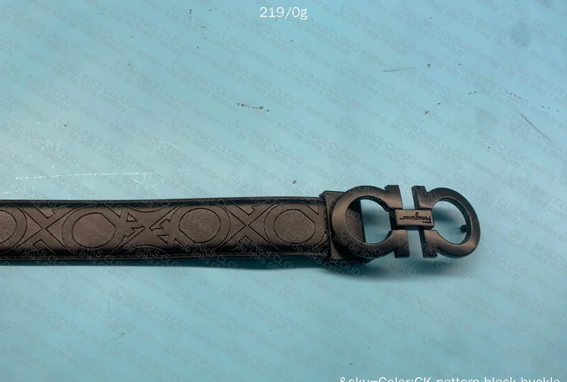 Ferragamo Belt 5