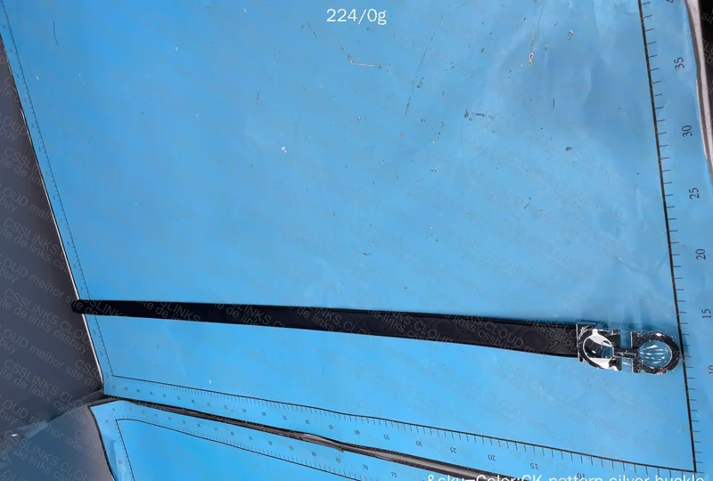 Ferragamo Belt 2