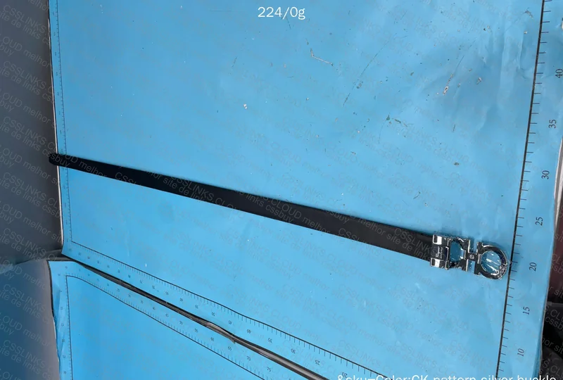 Ferragamo Belt 3