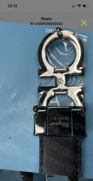 Ferragamo Belt 2